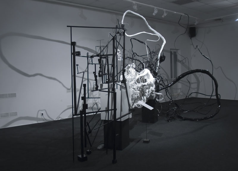 Model of bipolar activity, 2008